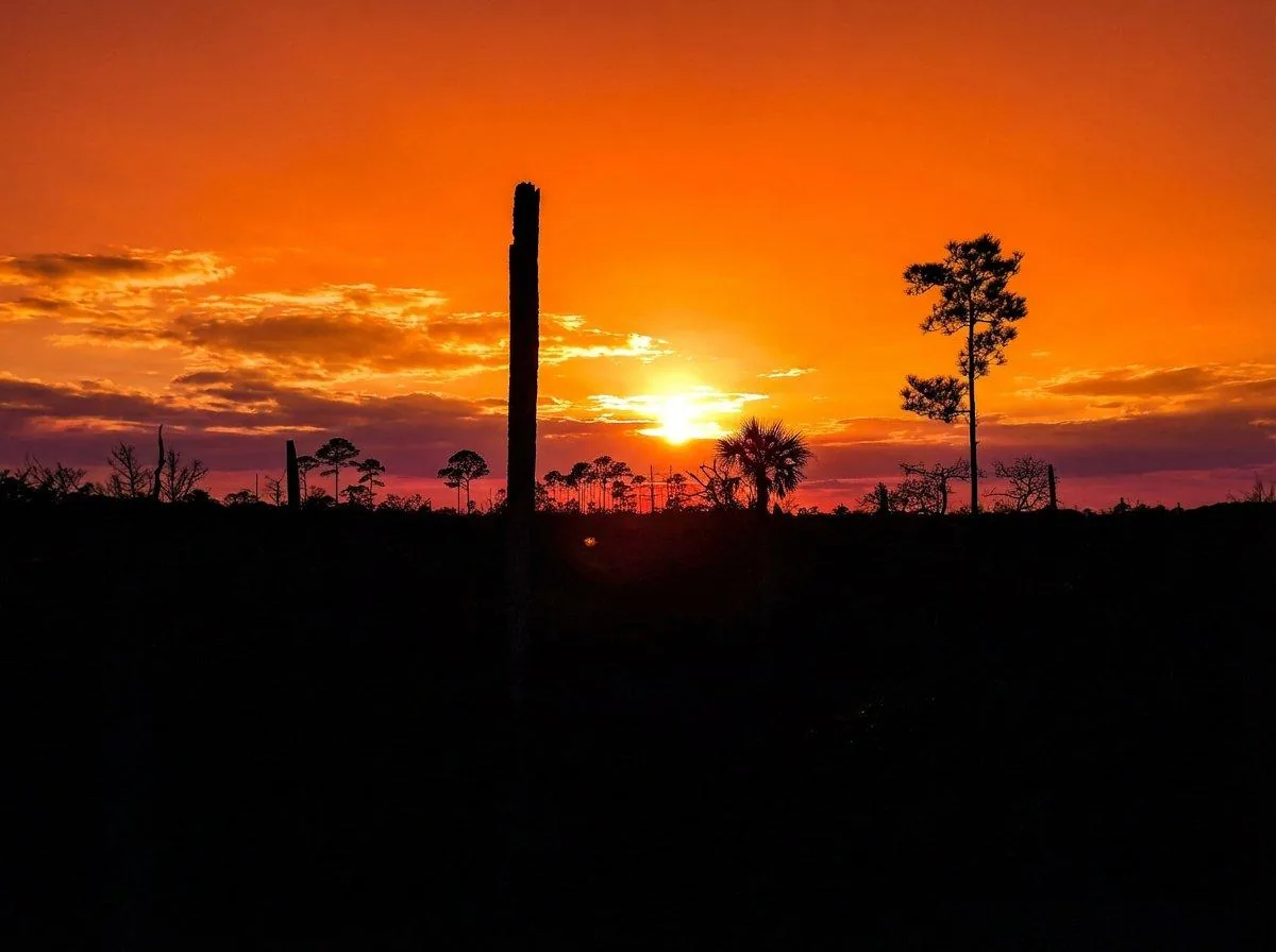 Castaway Island Preserve sunset, Jacksonville
