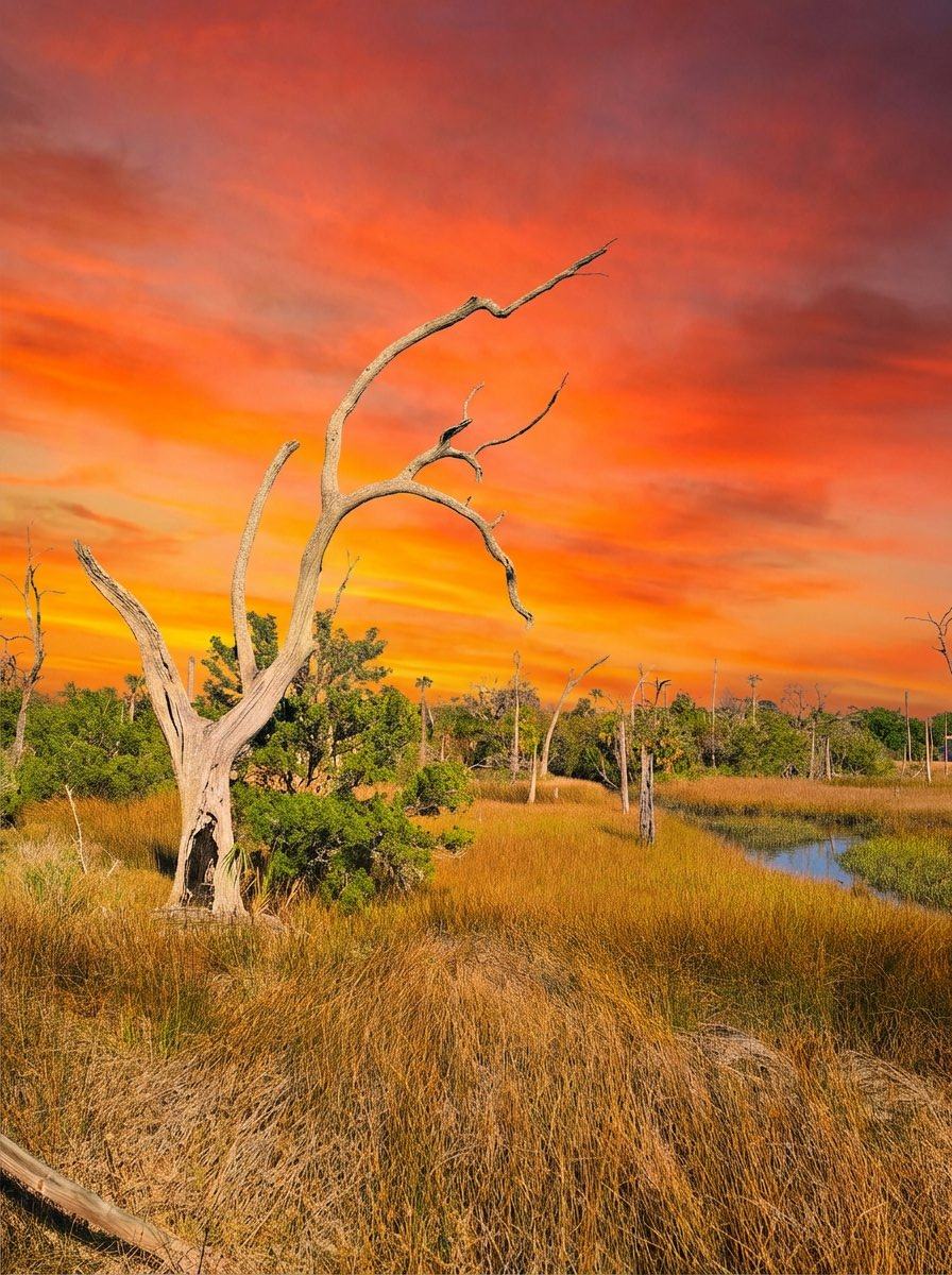 Sunset at Cradle Creek Preserve Jacksonville Beach